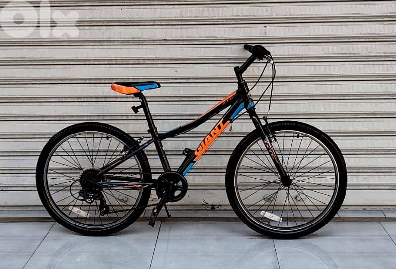 giant bicycle 24 usa 2