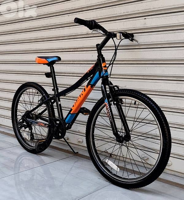 giant bicycle 24 usa 3