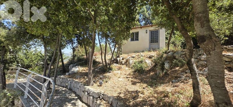 Guest House For Daily Weekly Rent Zabbougha 16