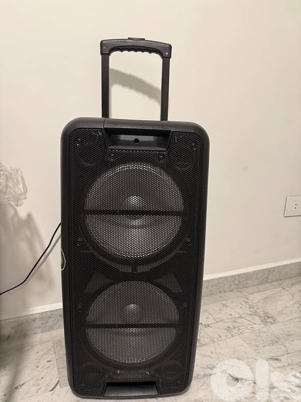Speaker 0