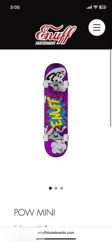 Skateboard boarded from Germany 3