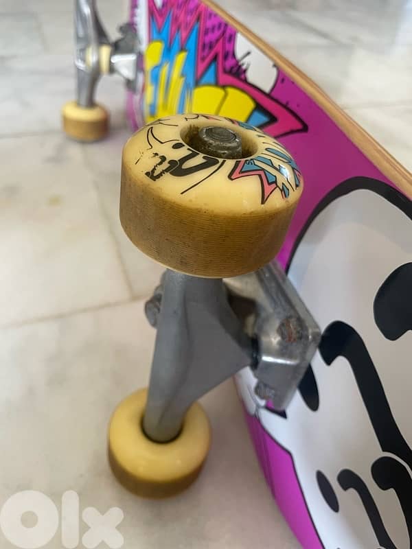 Skateboard boarded from Germany 5