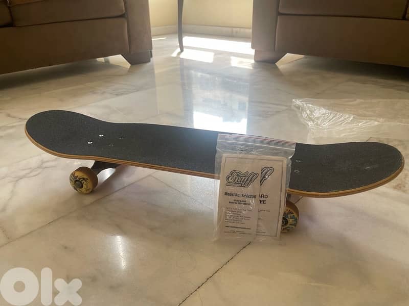 Skateboard boarded from Germany 6