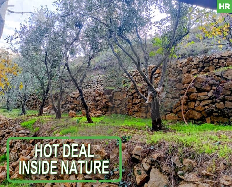 A piece of land 800SQM inside nature In Hamana REF#HR115819 0