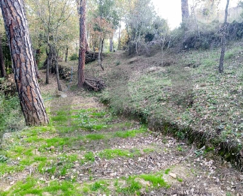 A piece of land 800SQM inside nature In Hamana REF#HR115819 1