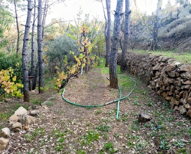 A piece of land 800SQM inside nature In Hamana REF#HR115819 3