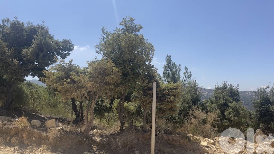 RWB277CA - Land for sale in Lehfed Jbeil 5