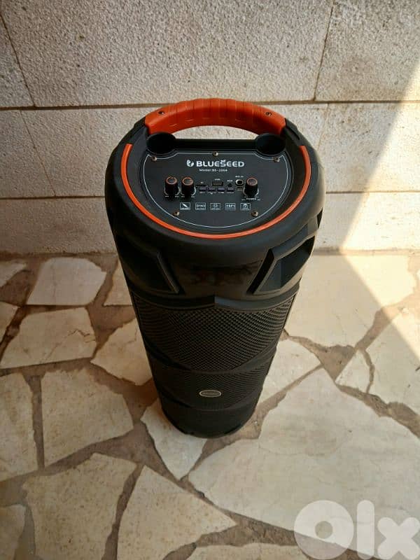wired/wireless party speaker 2