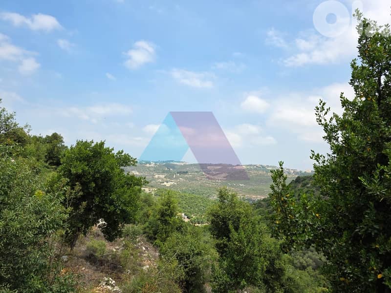 A 2500 m2 Land+Mountain view 4 Sale in Batroun-Boxmaya - البترون 0