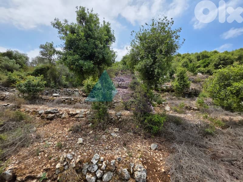 A 2500 m2 Land+Mountain view 4 Sale in Batroun-Boxmaya - البترون 4