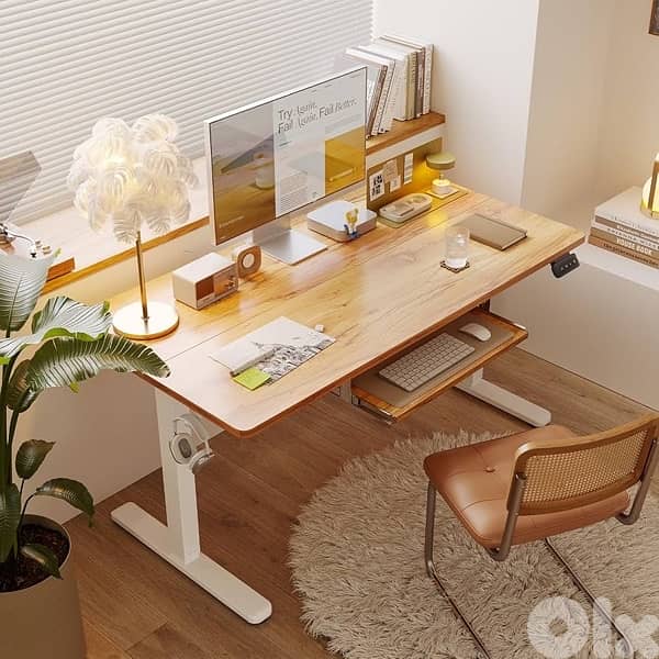 electric desk 2