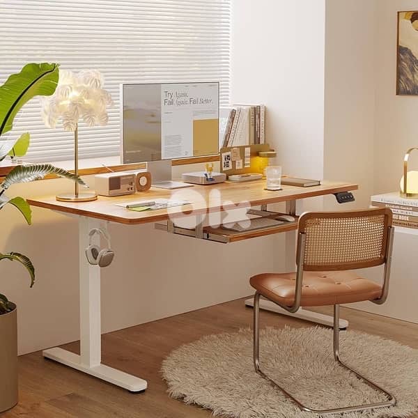 electric desk 3