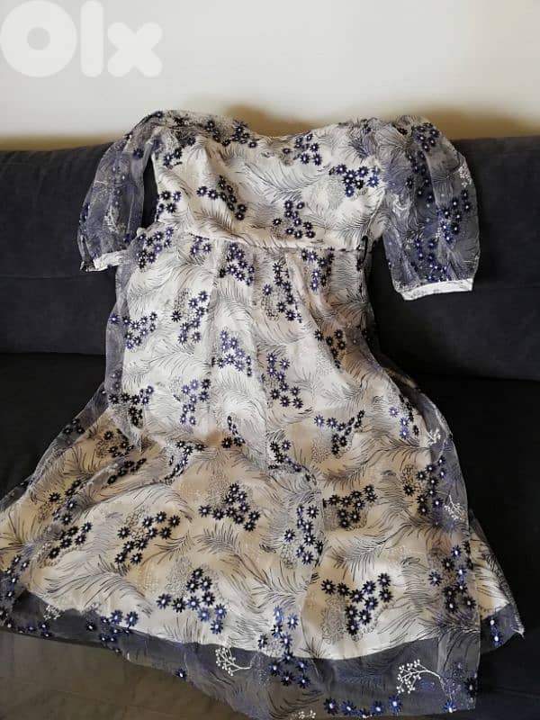 dress for an event or evening parties 1