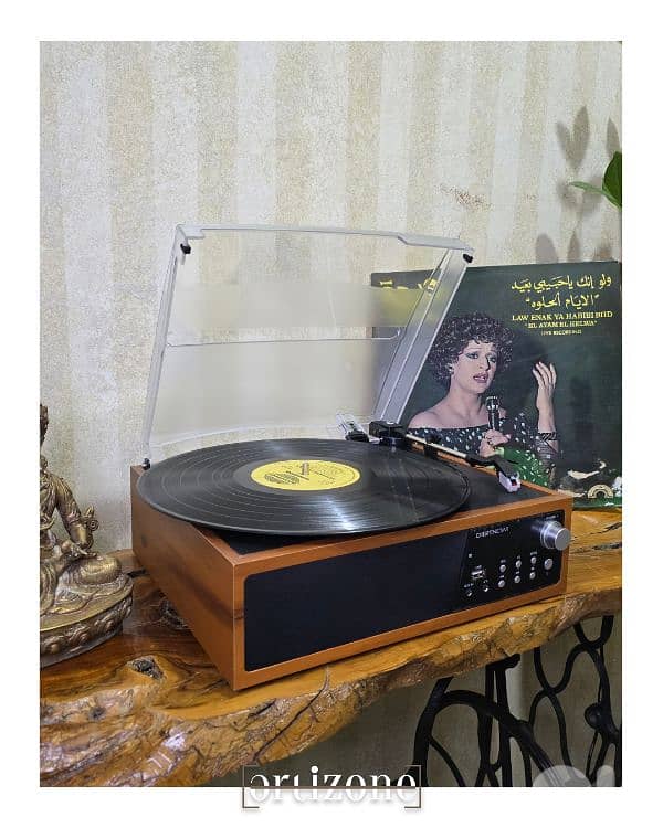 turntable vinyl record player 2