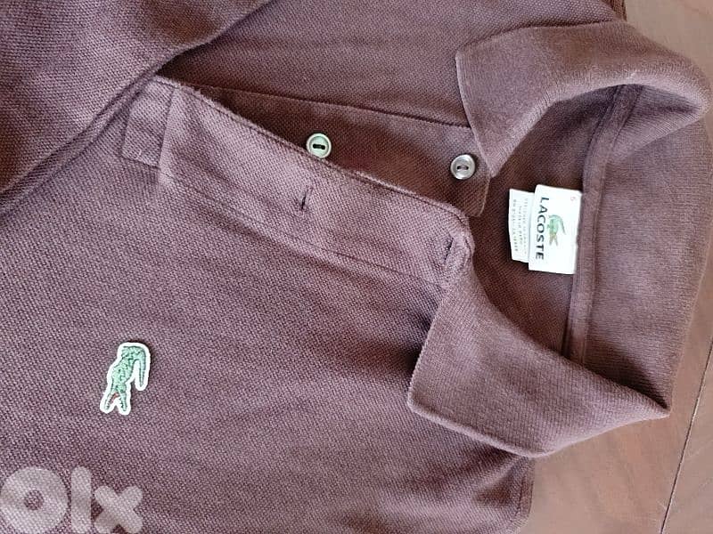 lacoste polo assleh 1