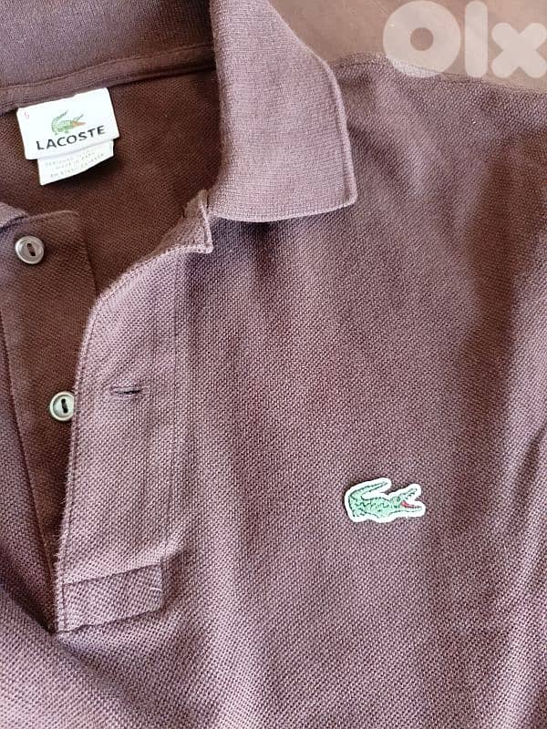 lacoste polo assleh 2
