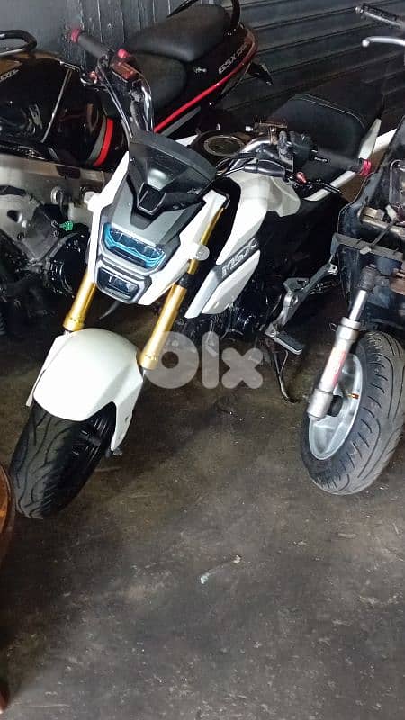 msx 125cc 2
