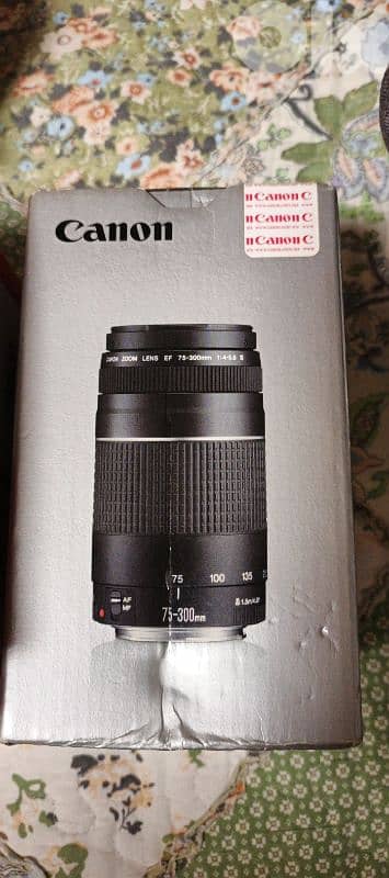 canon eos 4000D 2