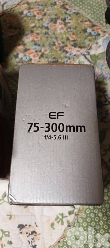 canon eos 4000D 3