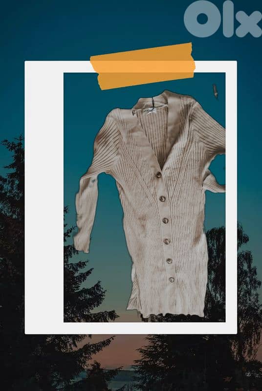 brandinleb clothes for sale. 11