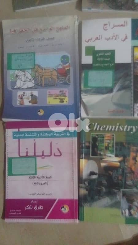 Grade 11/12 school books 1