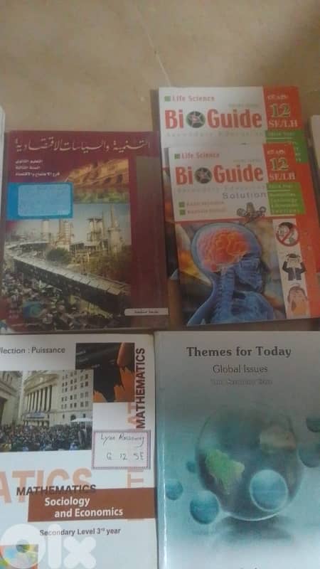Grade 11/12 school books 3