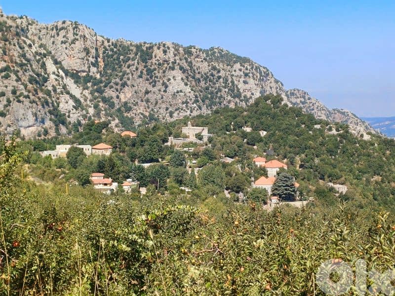 lands for sale in Chatine شاتين 1