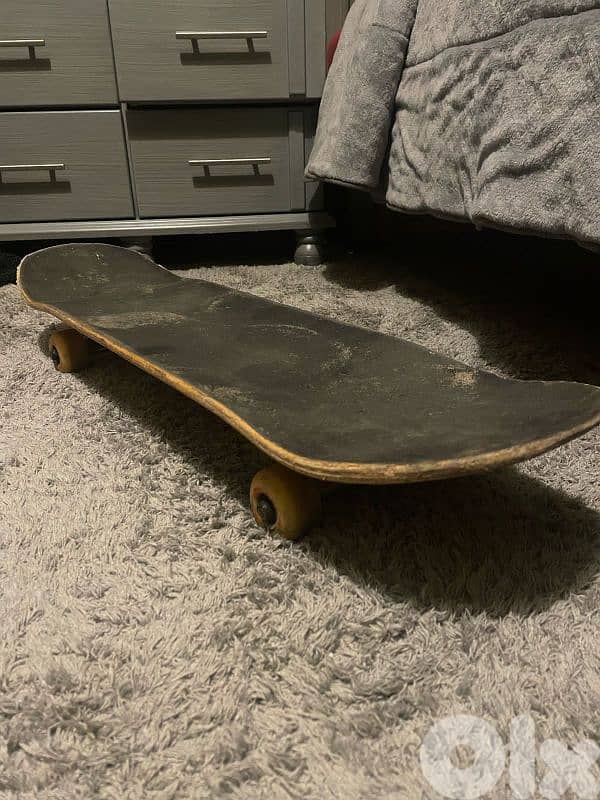 Pro Canadian skateboard 1