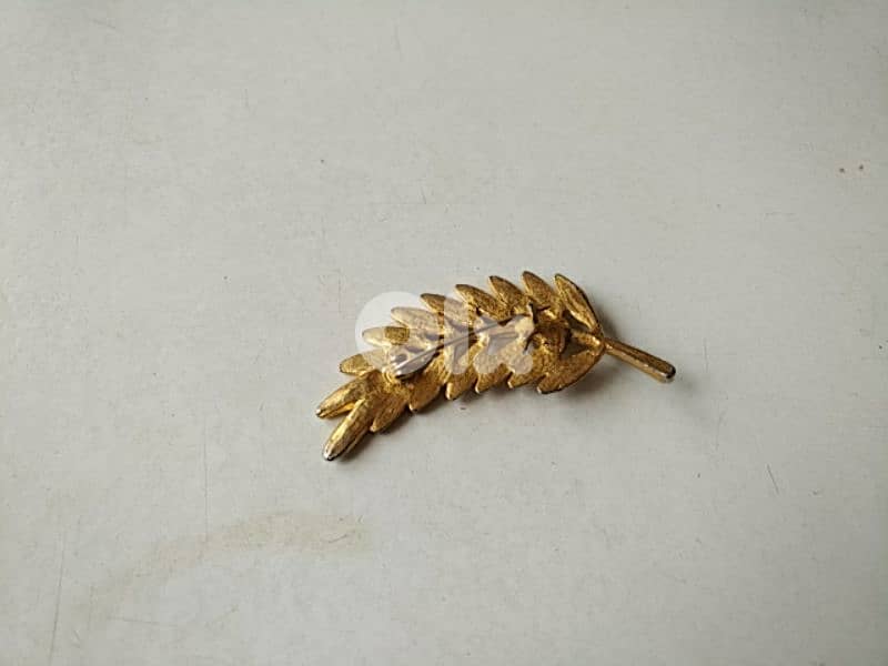 Old palm brooch - Not Negotiable 1