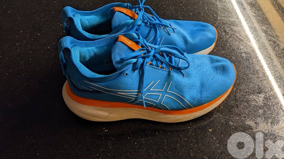 ASICS Gel Nimbus 25  size 45 WIDE 5