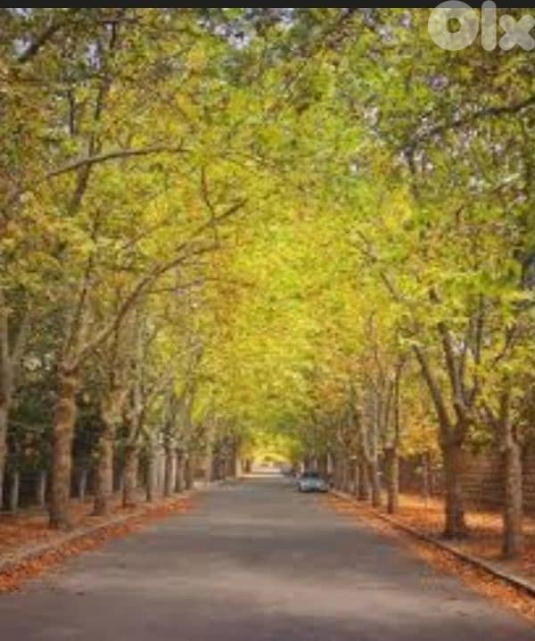 Open View l Prime 800 SQM Land in Sawfar l Ref: KG 0