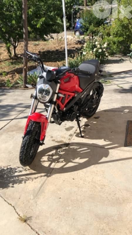 peda mon 250 0