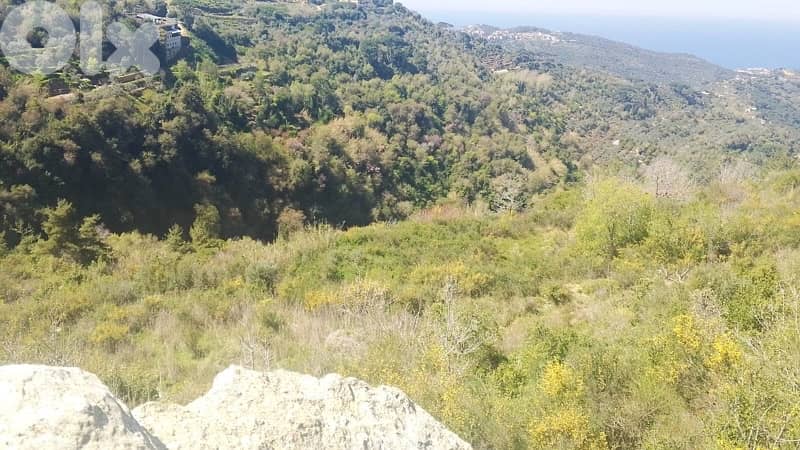 Beautiful Land in Abey for Sale 1