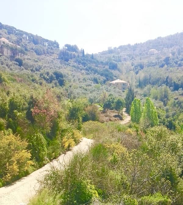 Beautiful Land in Abey for Sale 2