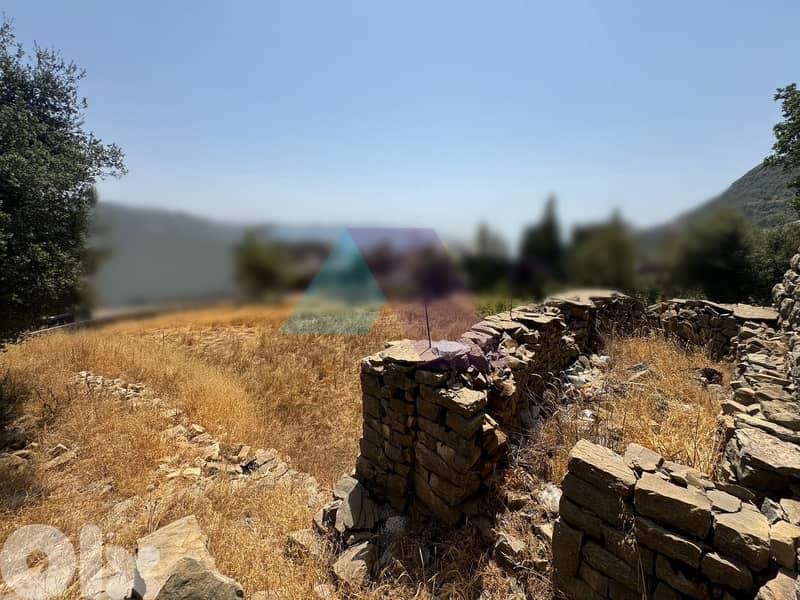 ***Old Traditional House+Land+Mountain View 4Sale in Ehmej*** 1