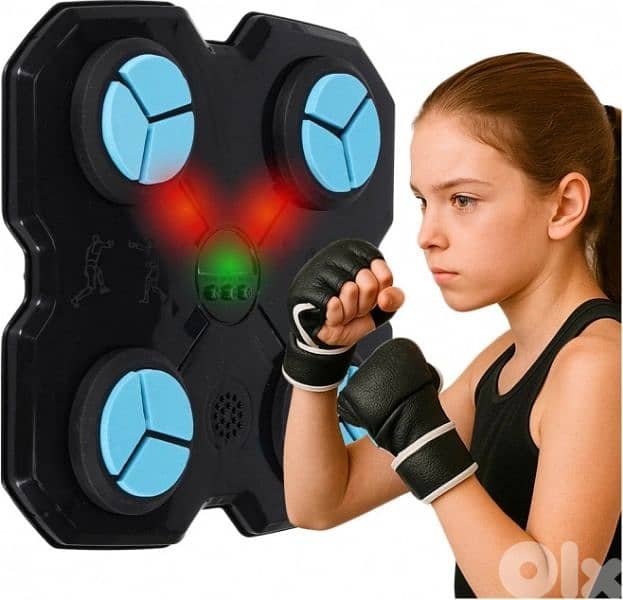 wall mounted training boxing target 0