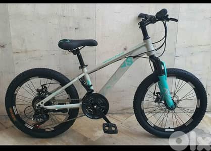 size 20" 3x7 speed disc brakes