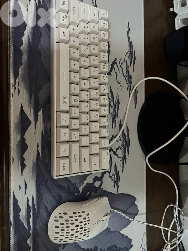 gaming keyboard + mouse 0