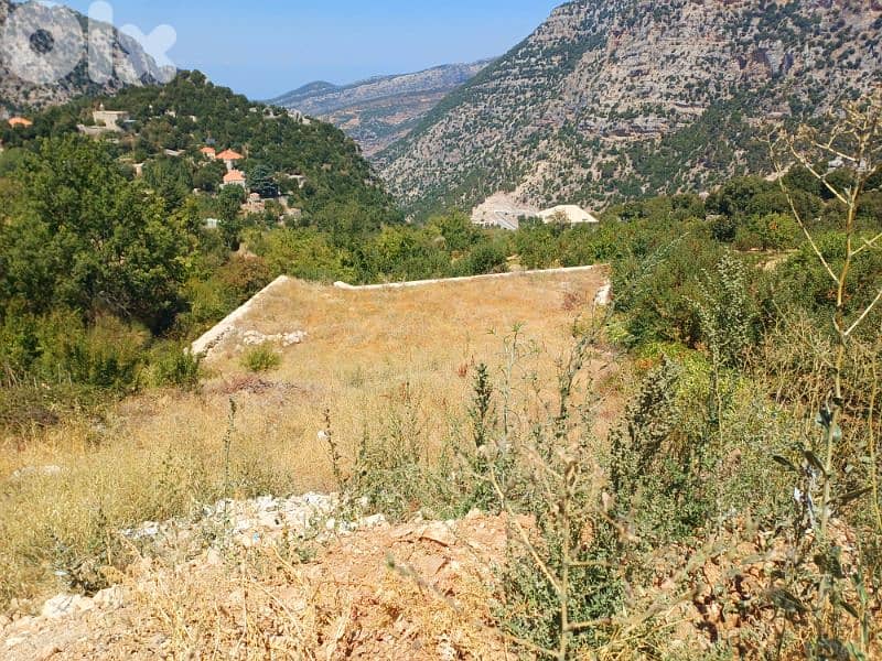 lands for sale in Chatine شاتين 11