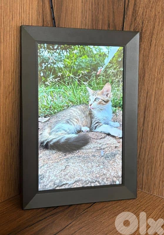 digital frame 2