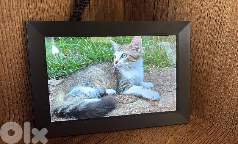 digital frame 3