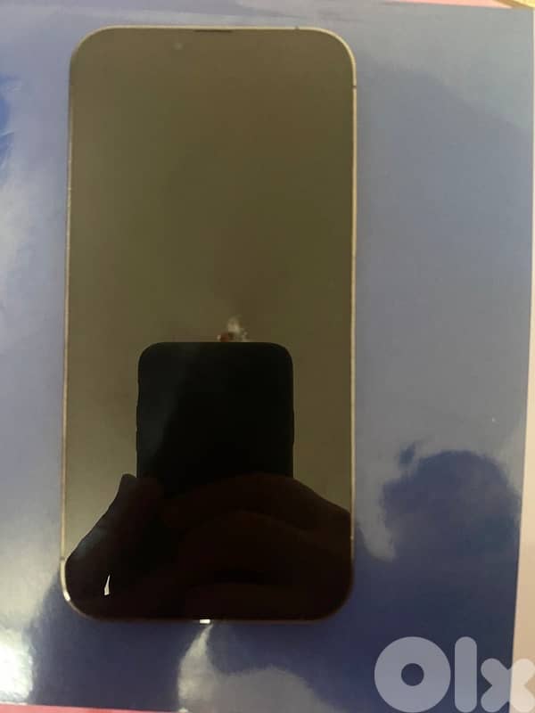 IPhone 13 Pro Max 0