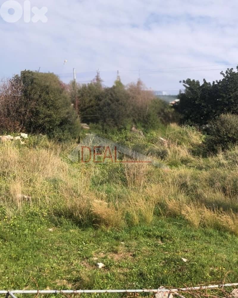 Land for sale in Jeddayel Jbeil عقار للبيع في جدايل جبيل 1