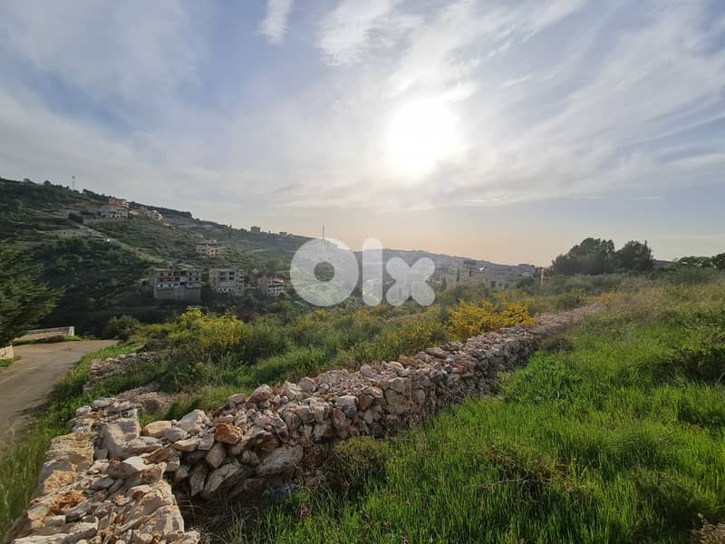 عقار مميز في برجا   land fore sale in barja 1