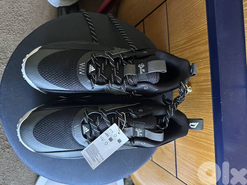 basketball shoes 1