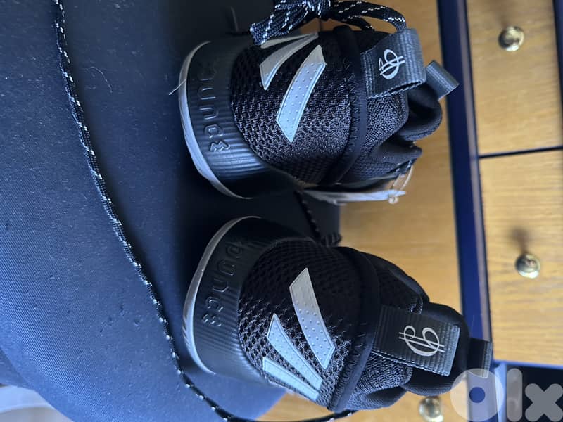 basketball shoes 2