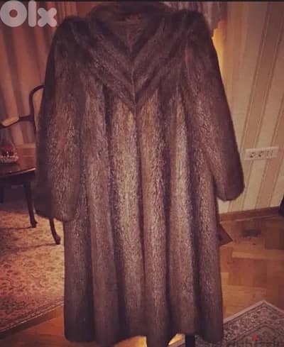 Beaver coat