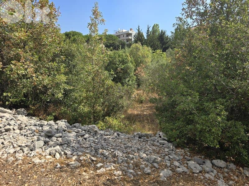 8000 Sqm Land lot - Ajaltoun 1