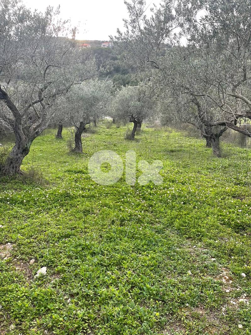 Land for sale in Ain Kfaa - أرض للبيع في عين كفاع 1