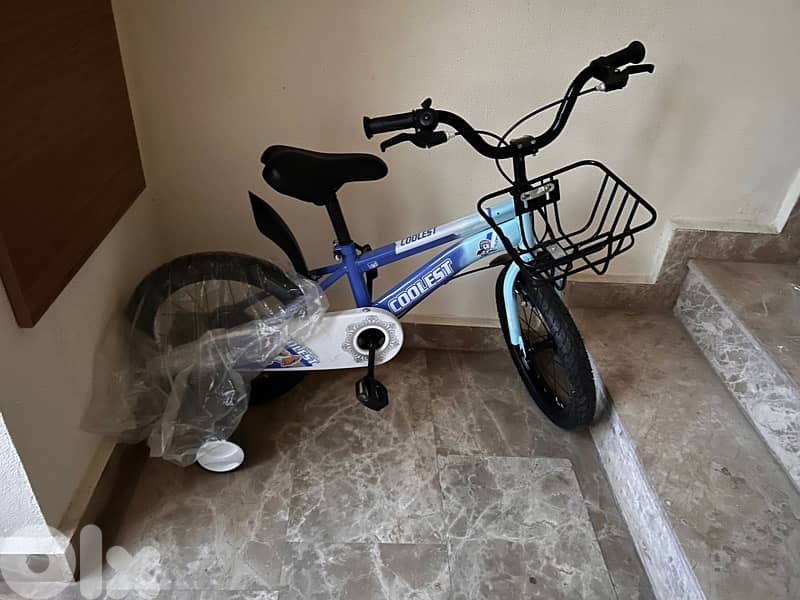 New Bicycle 0